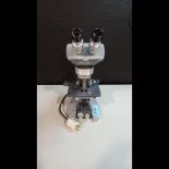 AMERICAN OPTICAL SPENCER LAB MICROSCOPE WITH 5 OBJECTIVES