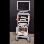 DYONICS ENDOSCOPY SYSTEM TO INCLUDE VISION 325Z DV DIGITAL 3-CHIP CAMERA CONTROL UNIT, 300XL LIGHT S