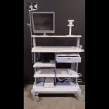 OLYMPUS OEV191H MONITOR WITH WM-D ENDOSCOPY CART