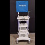 OLYMPUS OEV191H MONITOR & OEP-4 HDTV PRINTER ON WM-MP1 CART