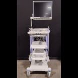 OLYMPUS OEV191H MONITOR & OEP-4 HDTV PRINTER ON WM-MP1 CART