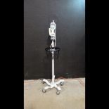 WELCH ALLYN SURETEMP PLUS THERMOMETER