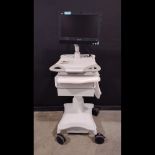 LIONVILLE COMPUTER CART