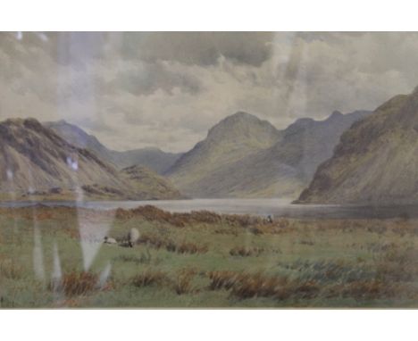R REDFERN (19th/20th century) British, Sheep in a Highland Landscape, watercolour, framed and glazed. 54 x 36.5 cm.