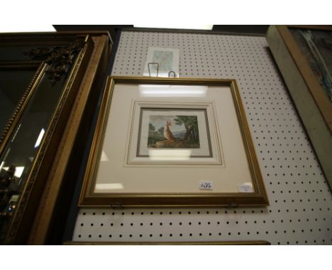 Print of coloured engraving of a kangaroo, after George Stubbs c1790, framed and mounted and modern framed print of koalas
