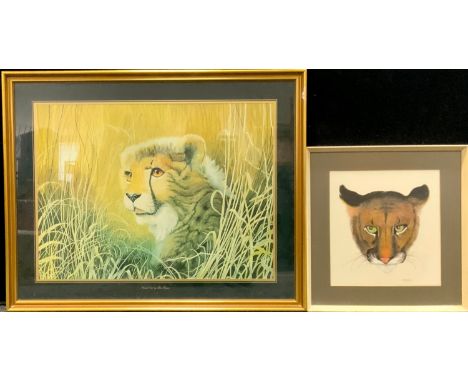 Peter Sturgess (1932-2015) Cougars Stare, Signed, dated 10-6-68, mixed media pastel and ink, 28cm x 27cm, another , Cheetah C