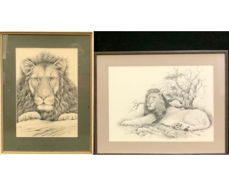 Peter Sturgess (1932-2015) Lions Look, signed, dated 1-2-1994, graphite and scratch work, 41cm x 28cm;  another Lord of the P