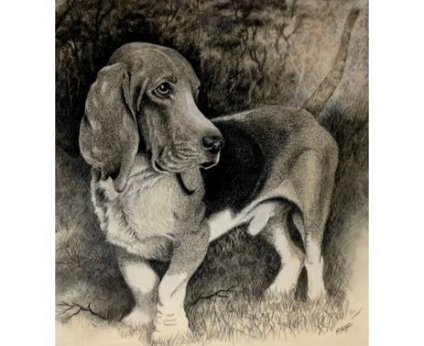 Peter Sturgess (1932-2015) Bassett Hound, signed, pencil sketch, 39cm x 36.5cm;  another Pomeranian, pastel, 35.5cm x 31cm (2