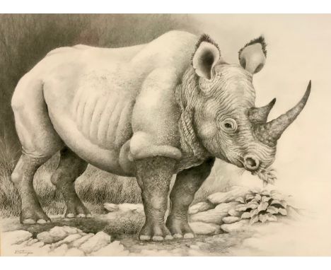 Peter Sturgess (1932-2015) Rhinoceros Standing, signed, pencil sketch, 34.5cm x 44.5cm 