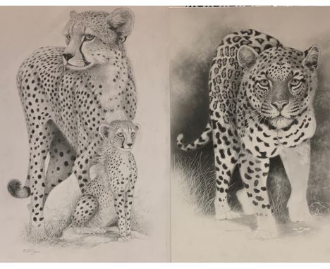 Peter Sturgess (1932-2015), Cheetah Mother and Cub, signed, pencil sketch, 54.5cm x 31.5cm;  others conforming smaller, stalk