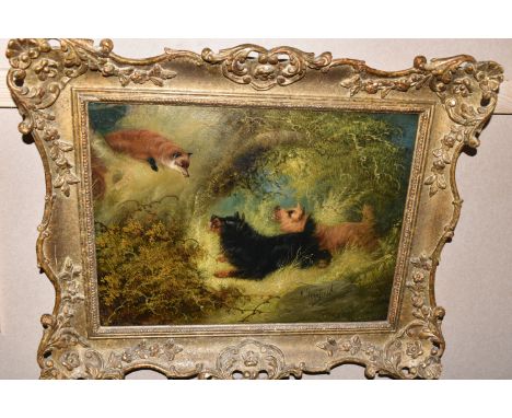 CIRCLE OF GEORGE ARMFIELD (1808-1893) TERRIERS AND A FOX IN A TREE, bears an indistinct signature lower right, oil on relined