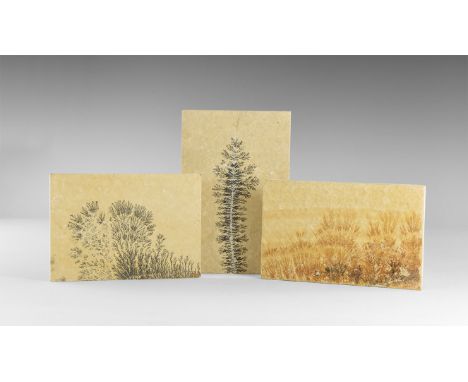 A group of three sawn rectangular shale specimens with manganese oxide dendrites, in old white card tray. From the historic ‘