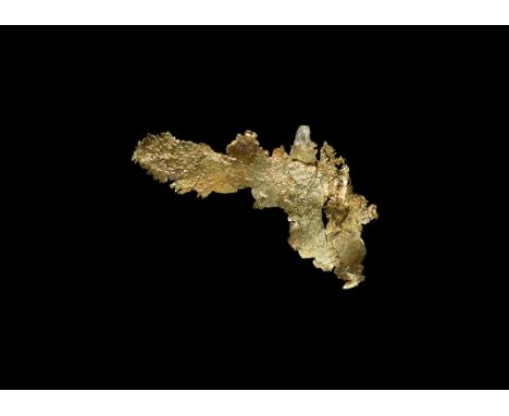 A specimen of natural vein gold, mounted in a plastic display case. From the historic ‘Victorian Museum’ collection of Gregor
