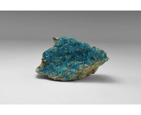 A crust of the rare copper sulphate mineral langite on a rock groundmass, from Ireland, in old white card tray with adhesive 