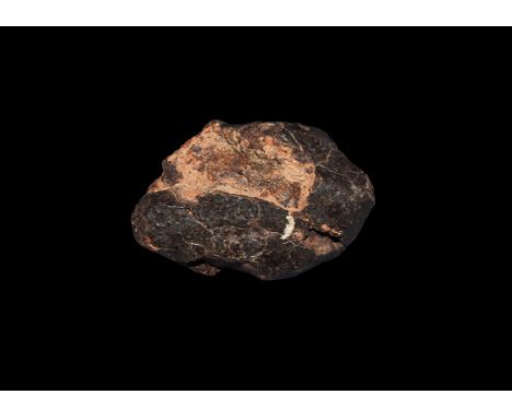 A very large piece of one of the most interesting Chondrites found in northwest Africa; a much studied meteorite, classified 