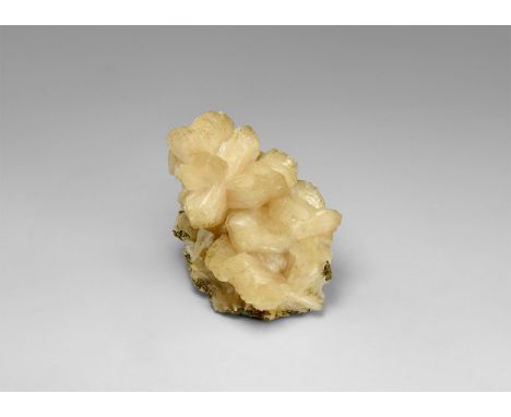 A cluster of stilbite crystals from India, many showing the classic 'bow tie' crystal form, in white card tray with Gregory, 