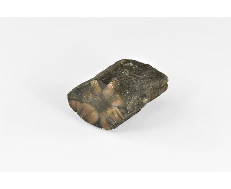 A section of an andalusite crystal from Spain. sawn and polished on one end to show the 'cross' inclusions typical of this mi