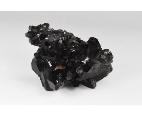 A cluster of black smoky quartz (morion) crystals, the crystals prismatic with full terminations, in old white card tray. Fro