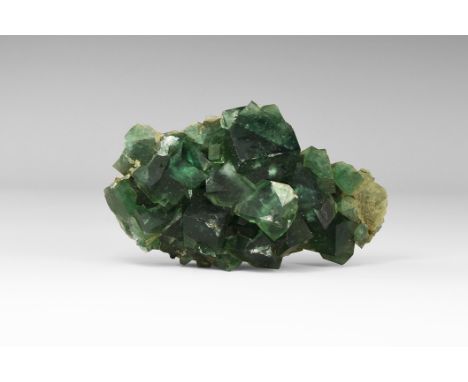 A fine group of dark green fluorite cubes in old white card tray with old Gregory, Bottley and Lloyd label reading:'GREEN FLU