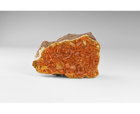A fine specimen of wulfenite consisting a sheet of numerous tabular orange crystals on a matrix of limestone with an underlyi
