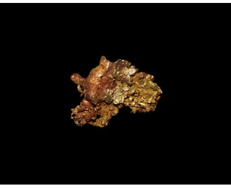 A specimen of crystallised vein gold in a plastic display case, in old white card tray. Found Cornwall, UK; from the historic