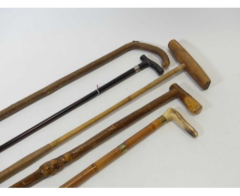 A collection of walking sticks, to include early 20th century horse measuring stick (a/f), and an antler handled example 