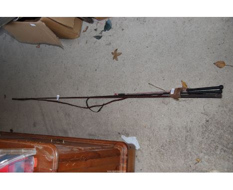 Three whips including a lunging whip.