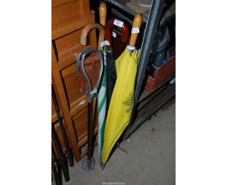 A quantity of umbrellas and a shooting stick.