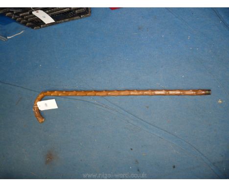 A Horse measuring walking Stick