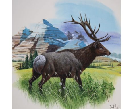 Don Balke (North Carolina, B. 1933) "Rocky Mountain Elk and Blue Spruce" Signed lower right. Original Watercolor painting on 