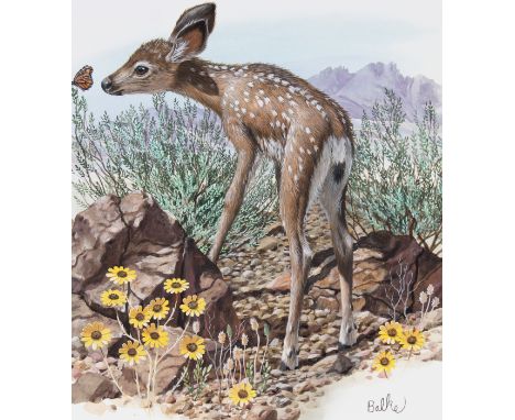 Don Balke (North Carolina, B. 1933) "Young Mule Deer" Signed lower right. Original Watercolor painting on Illustration Board.