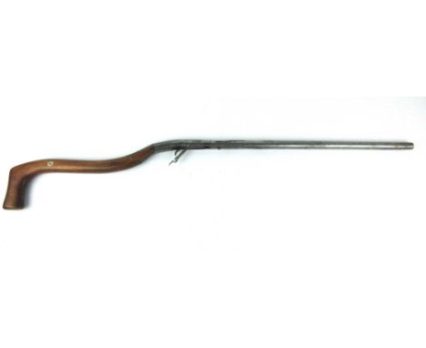 A percussion walking stick gun with twist off barrel with impressed proof marks, having a mahogany handle/stock showing some 