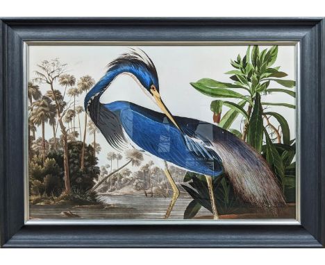 AFTER AUBUDON PRINT, with relief detail, framed, 106.5cm x 70cm. 