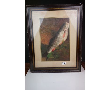 Framed oil painting study of a chub fish 