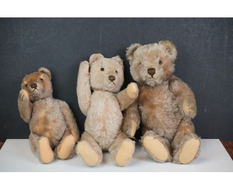 Three Steiff Teddy Bears, each with button to ear, tallest 38cms 