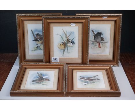 Set of Five Watercolours depicting British Birds, monogrammed signature and dated 84, cards to verso ' R J Parker Watercolour