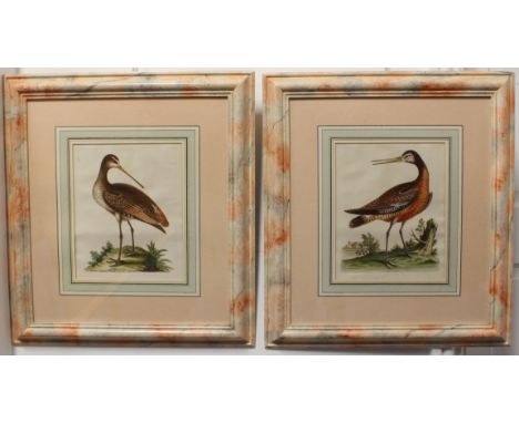 After GEORGE EDWARDS (1694-1773) - 'American Godwit' and 'Red Breasted Godwit', hand-coloured engravings,&nbsp;plates 137 and