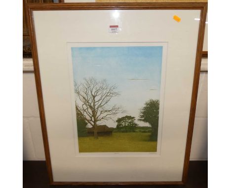Christopher Penny (1947-2001) - Dead tree, lithograph, signed, titled and numbered 5/200 in pencil to the margin, 40 x 30cm; 