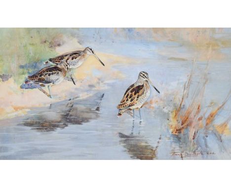 Frank Southgate RBA (1872-1916)"Snipe Feeding"Signed, mixed media, 27.5cm by 47.5cm Provenance: Mandell's Gallery, Norwich, d