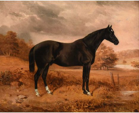 George Bouverie Goddard (1832-1886)"Black Horse in a Landscape"Signed and dated 1855, oil on canvas, 41.5cm by 51.5cmProvenan