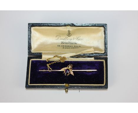 An amethyst and pearl 'fly' bar brooch in 9ct yellow gold, in Dudley & Cox, Southsea fitted case