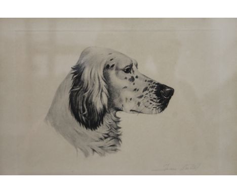 JEAN HERBERT, Portrait of a Dog, print, signed, framed and glazed. 33 x 26 cm overall.