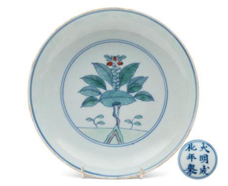 A Chinese doucai saucer dish: the interior painted with a medallion enclosing a pomegranate tree and rockwork, the underside 