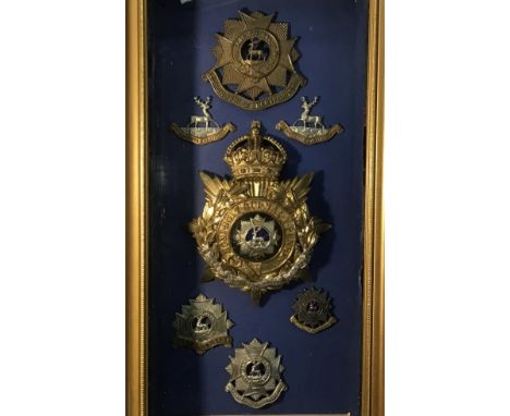 Rare framed Bedfordshire Regiment and Bedfordshire &amp; Hertfordshire Uniform Badge Group including silver-gilt and blue ena