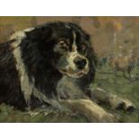 ‡ EVAN JOHN oil on board - border collie in field with sheep to background, entitled verso ''Ben'