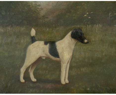 HENRY CROWTHER oil on canvas - fox terrier portrait, signed and dated 1912, name plaque missing from frame, 29 x 36.5cmsProve