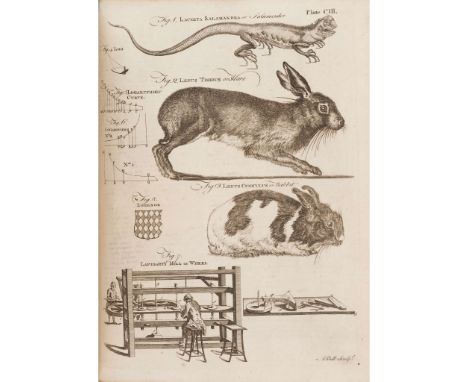  'A Society of Gentlemen in Scotland' Encyclopaedia Britannica; or, a Dictionary of Arts and Sciences compiled upon a New Pla