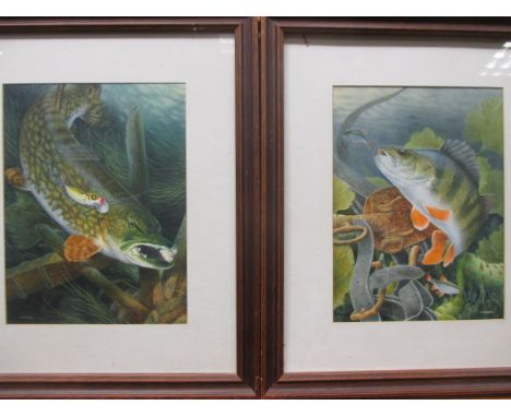 Maurice J Pledger (British, b. 1955), a pair of watercolours of fish, signed "M J Pledger" lower left, 28.5 x 21.5 cm  