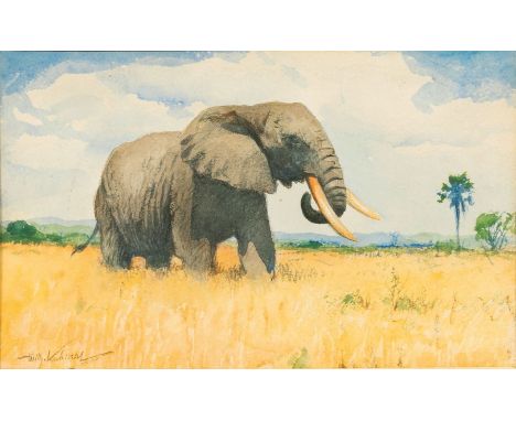 Wilhelm Kuhnert (Oppeln 1865 - Flims/CH 1926). Elefant. Aquarell. 11 x 17,5 cm. L. u. sign. Wilh. Kuhnert, verso vom Künstler