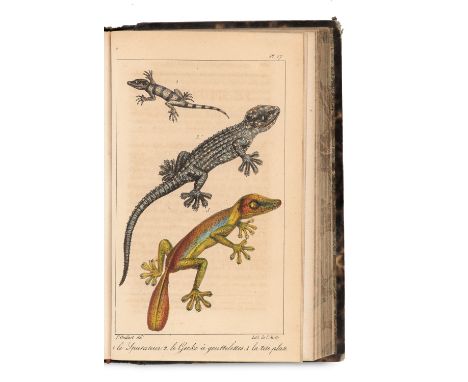Zoologie - - Bernard Germain de Lacépède, G. Cuvier. 2 Werke von Lacépède zur Zoologie. Mit zahlreichen kolorierten Tafeln. H